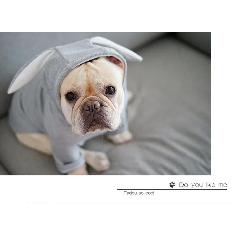 Pet Dog Clothes Cute Rabbit Ear Design For Small Dogs Coat Winter Dog Hoodies Puppy Cat Clothing For Dogs Pug French Bulldog