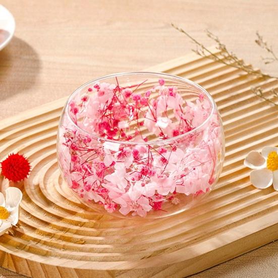 Doppelwandige Glasschale mit echten gepressten Blumen Hitzebeständig Kältebeständig Transparent Lebensmittelschale für Salat Dessert Servieren Niedliche Heimküchendekoration