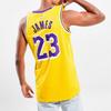 Nike NBA Los Angeles Lakers Icon Edition LeBron James 2022/23 Jersey Amarillo Men Streetwear DN2009-733