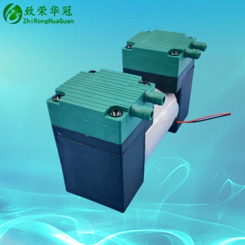 Miniature Vacuum Pump AC110V Small Pump DC24V Inflating Pump AC220V Beauty Instrument Negative Pressure Pump DC12V Air Pump
