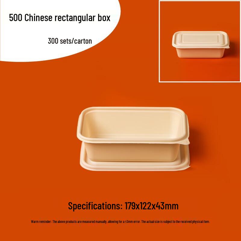 Biodegradable Rectangular Takeout Meal Box with Lid, 500ml