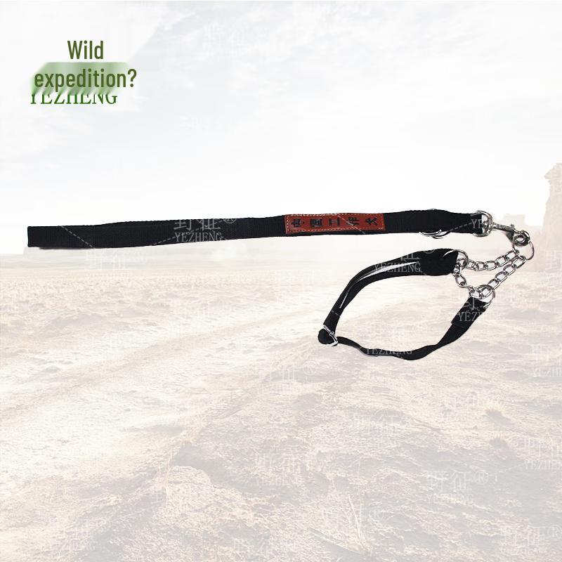 Working Dog P-Chain Leash and Collar Set