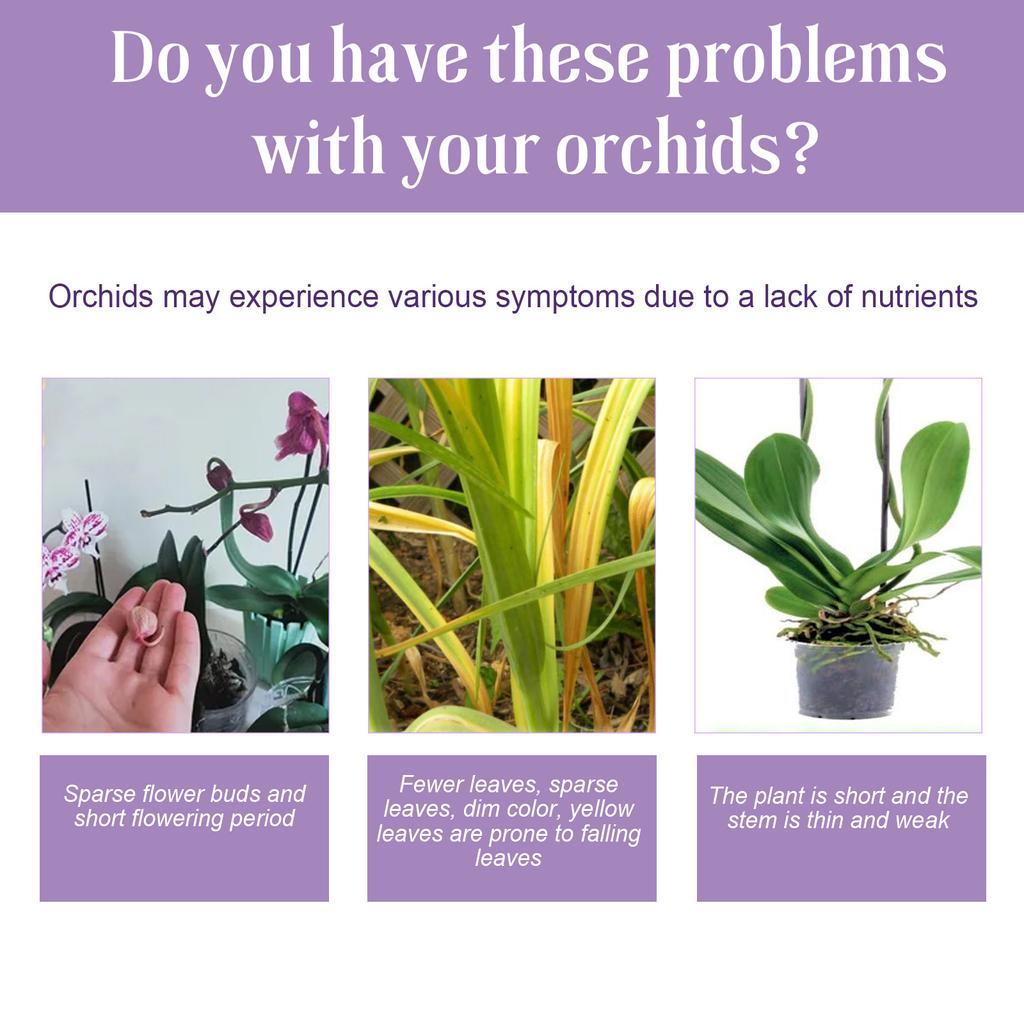 50ml tekuté hnojivo na květy orchidejí, zvyšuje klíčivost, zlepšuje růst pro začátečníky a milovníky zahradničení, dárek