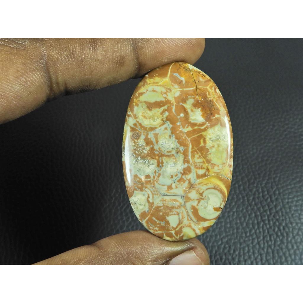 29X50X04MM Natural Bird Eye Jasper Oval Shape Cabochon Loose Gemstone 68Cts. G-292