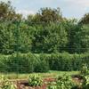 Wire Mesh Fence with Flange 1.4x10 M