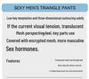 Men's Breathable Ice Silk Seamless Summer Underwear – Thin Triangle Design with Large Pouch