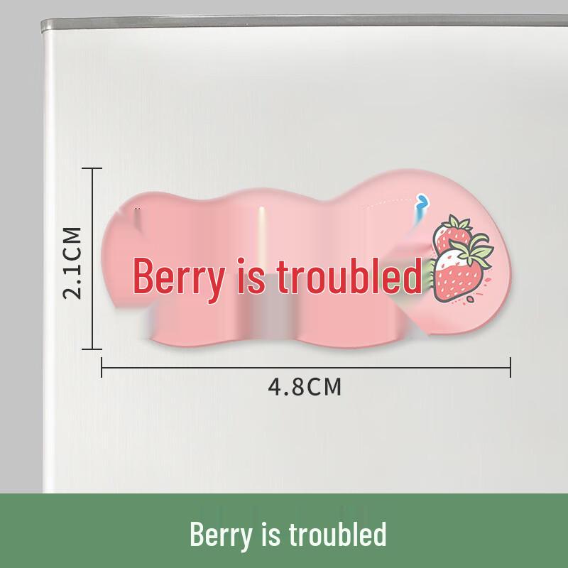 HC Creative Acrylic Fridge Magnets