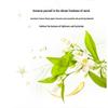 Dove Botanical Essence Hydrating Smoothing Shampoo