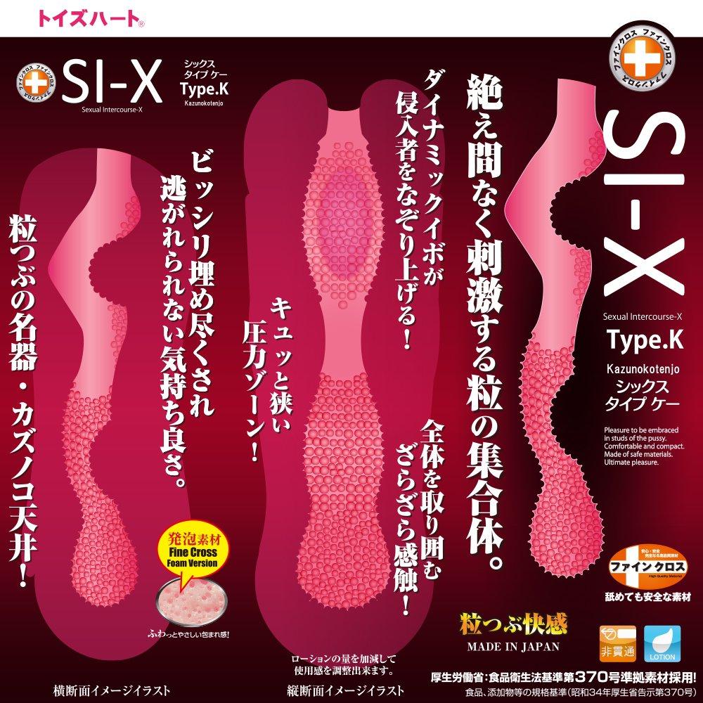 Type Heart SI-X type.K <Six K> Toy's