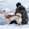 Thick Warm Winter Dog Coat With Integrated Leash Small Medium Breeds Fall Outdoor Use