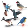 Realistische Vogel Figur Kuckuck Mannequin Kolibri Rotkehlchen Modell Miniatur Figur Kinder