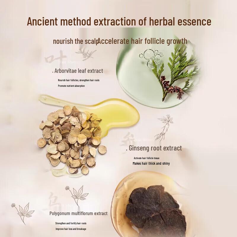 Tongrentang Anti-Hair Loss & Hair Growth Ginger Shampoo