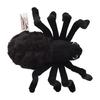 BH8489 HANSA Black Tarantula 19