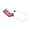 12 Key Melodica Instrument with Tube Piano Keyboard for Beginners Kids and Adults