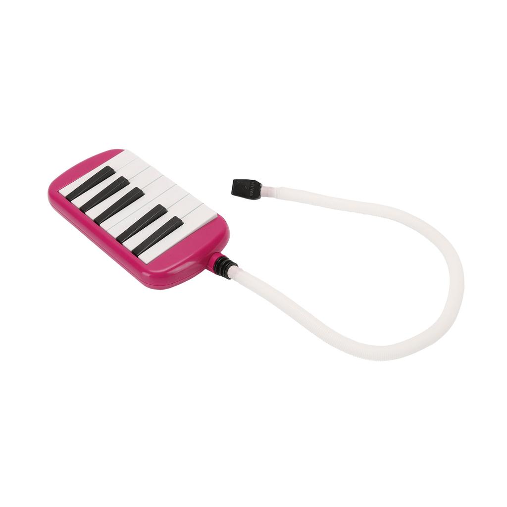 12 Key Melodica Instrument with Tube Piano Keyboard for Beginners Kids and Adults