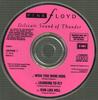 CD PINK FLOYD  Hikari 42DP25945  1988 Japan Japanese PopRock Used