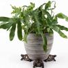 3Pcs/Set Stone-like Resin Modern Unique Weather Resistant Plant Pot Feet Plant Pot Stands