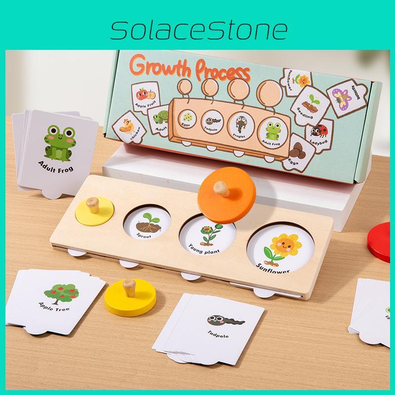 Montessori Growth Cycle Puzzle Wooden Educational Toy For Preschool Learning