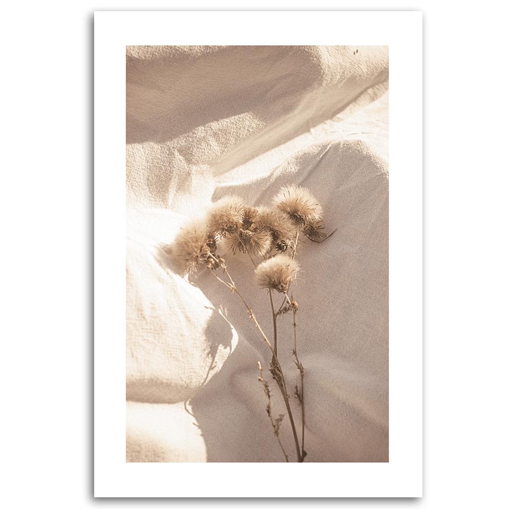 Canvas Print, Delicate Dry Flowers