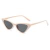 New European and American Fashion Cat-eye Sunglasses for Women, Personalized Candy-colored Sunglasses, Trendy Street Photography, Sunglasses
