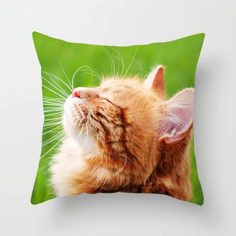 Home Decor Witchcraft Cat Stealing  Cushion Cover Cute  Sofa Car Decoration 45x45cm Pillowcase Square Polyester