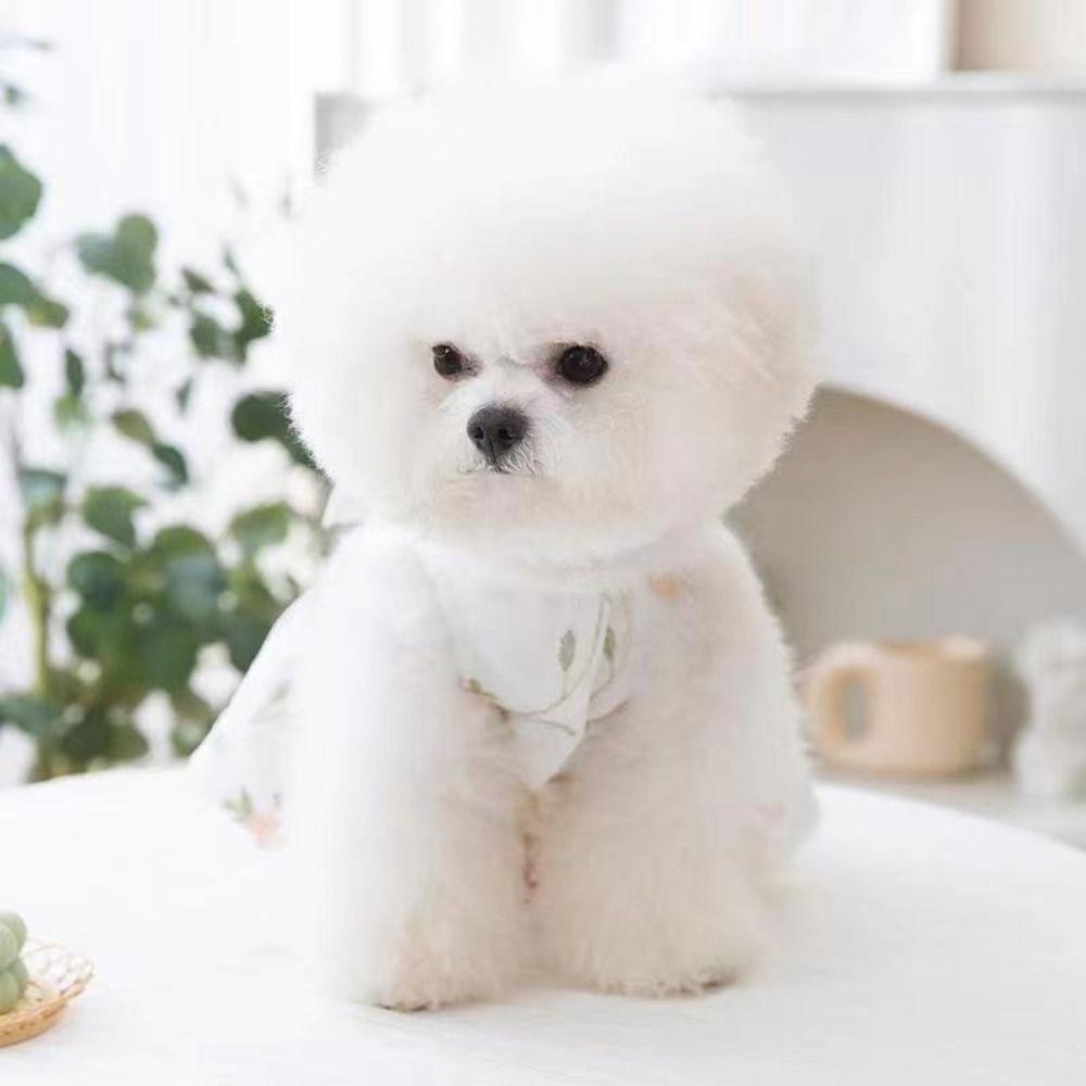 Breathable Floral Dog Lace Dress Embroiderd Summer Pet Clothes Cute Cat Mesh Apparel  Summer