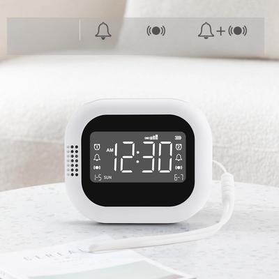 Simple Plastic Vibrating Alarm Clock Radio White Noise Natural Sound Multifunctional Charging Model Vibrating Clock Home Garden