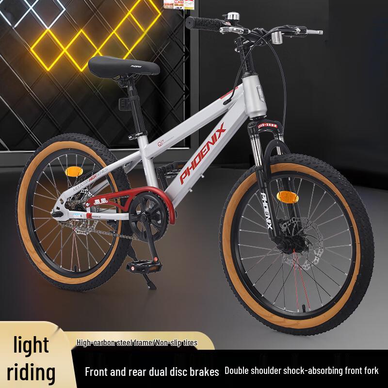 Phoenix 20-inch Beta Puls Mountain Bike