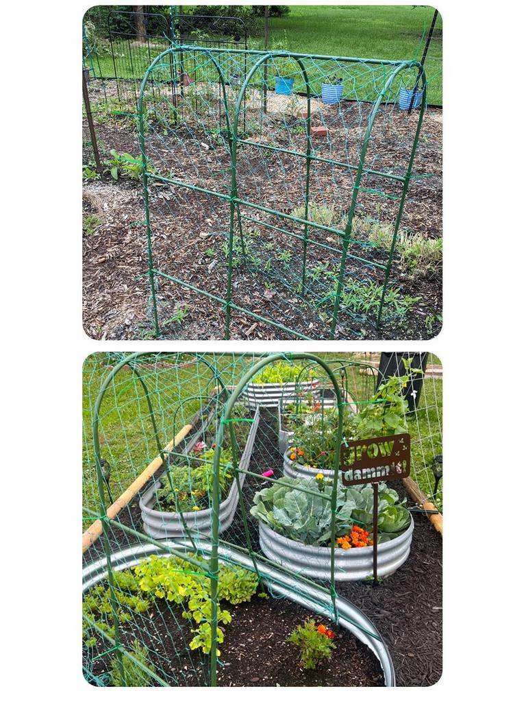 Plastic-Coated Steel Arch Pipe: U-Shaped Greenhouse Climbing Support for Cucumber and Tomato Plants