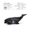 Children's Marine Animal Model Set: Mini Whale, Shark, Dolphin, Turtle, Sea Lion