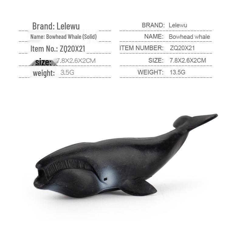Children's Marine Animal Model Set: Mini Whale, Shark, Dolphin, Turtle, Sea Lion