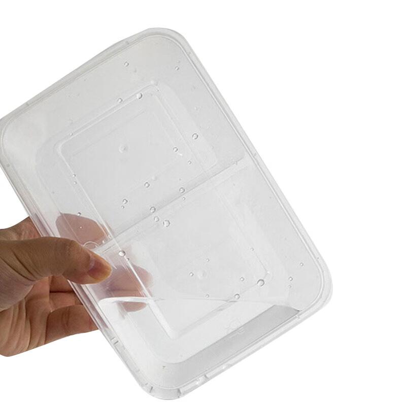 

Disposable 950ml Two-Compartment Takeaway Container