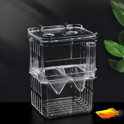 Vissen en zeedieren – Aquarium onderhoud