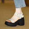 Fashion Women High Heels Sandals New Fashion Heeled Shoes Platform Chunky Pumps 2025 Summer Woman Casual Cozy Dress Sandalias De Mujer