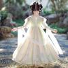 Girls' Hanfu Summer Embroidered Dress