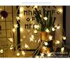 LED Color Lights, Star Lights, Camping Atmosphere Lights, String Lights, Christmas Outdoor Courtyard Festivals