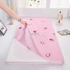 Non-Slip Zippered Mattress Cover for Student Dormitory and Home - Free Shipping