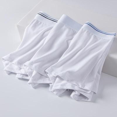 3ks Pánské boxerky bílé spodní prádlo bavlněné kalhotky chlapecké kalhotky homme spodky spodky spodky velká velikost L XL 2XL 3XL 4XL