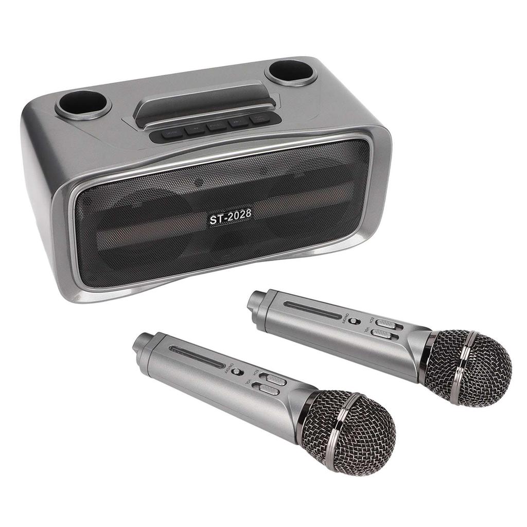 ST‑2028 Tragbares Karaoke-Lautsprechersystem Bluetooth-Karaoke-Maschine mit 2 Mikrofonen für Hochzeitsfeier
