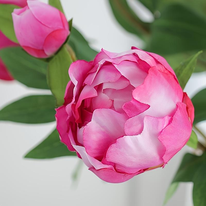 5 Stück Künstliche Pfingstrose mit je 2 Blütenköpfen, Heimhochzeit Weiche florale Fotorequisiten Ornamente Fortgeschrittener Sinn Simulations-Pfingstrosen-Bouquet