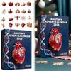 2025 Anatomys Advents Calendar Xmas Tree Hanging Pendants For Christmas Tree Decoration