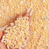 Summer Vitality Bud Rose Nail Art Accessories Ins Soda Orange Flower Wearable Nail Material Kit Resin Decorations