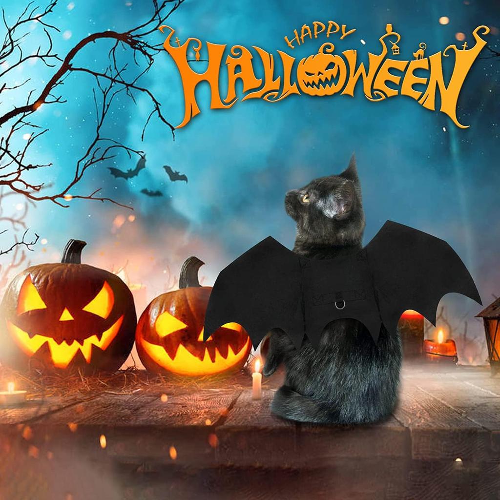 Halloween Dog Bat Costume with Leash Cat Pet Bat Wings Clothes Funny Apparel Outfit Dress Up Accessories for Cosplay Party XL