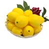10pcs Artificial Fruit Lemon Lifelike Faux Foam Fruits Home Table Decoration Photography Props Imitation Fruits Model Simulation
