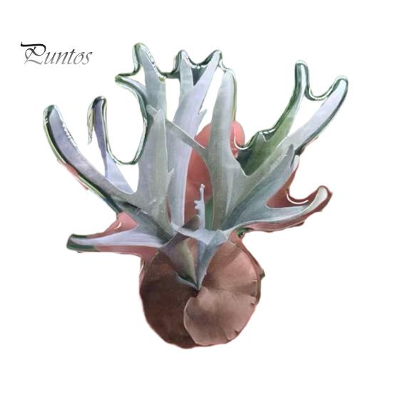 Tropical Plant Refrigerator Magnets 3D Plants Magnet, Acrylic Green Decorative Fridge Home Decor Memo Notes Photo Holder for Kitchen Office