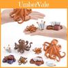 Ocean Animal Octopus Growth Cycle Model For Kids Educational Decor