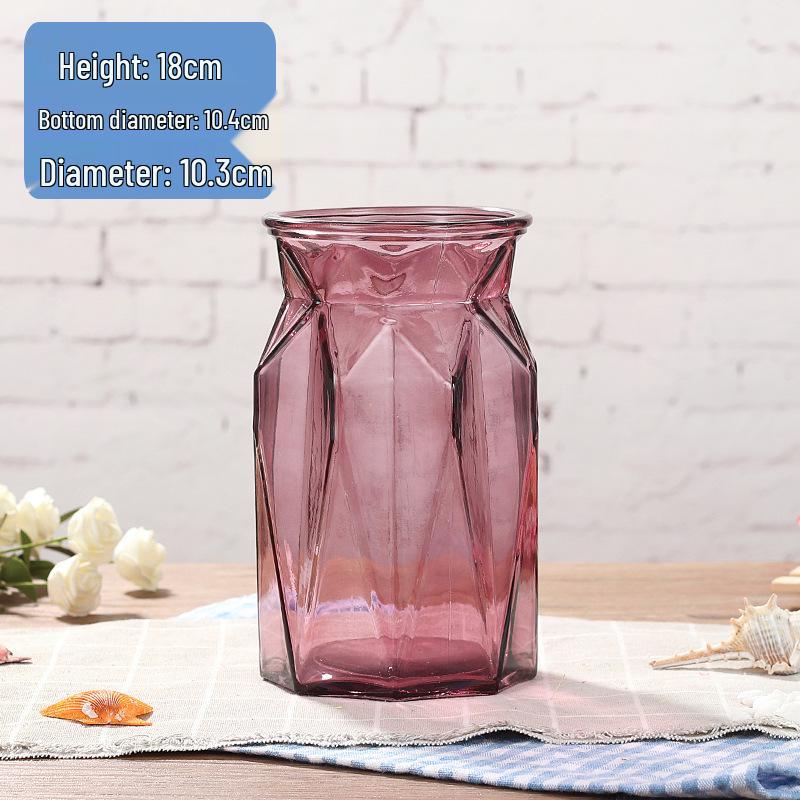 Modern European Glass Vase for Fresh or Dried Flowers - Hydroponic Desktop Ornament