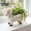 Resin Succulent Container Curly Sheep Planter Pot, Cute Lamb Flower Decorative Durable Thickened Animal Plant Pot for Succulents Cacti Indoor Outdoor