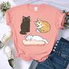 Hip Hop Summer T Shirt Casual Comfortable Clothes Crewneck Mischievous Three Colored Kittens Print Women T Shirts Plus Size Tees