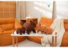 Cute Capybara Plush Toy - Kawaii Stuffed Animal Doll